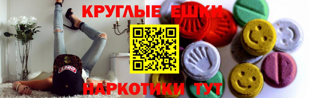 Ecstasy Philipp Plein  ЭКСТАЗИ  Вход с VPN  Шахты  Ecstasy XTC 
