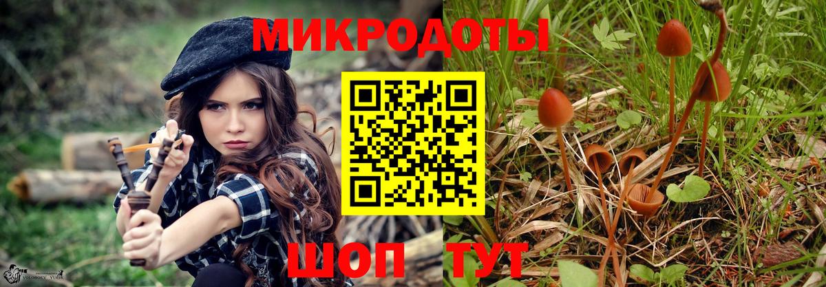 Псилоцибиновые грибы мицелий Шахты