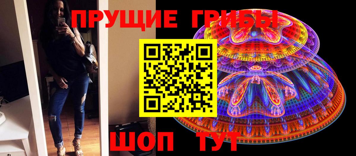 хочу   Галлюциногенные грибы Psilocybine cubensis  Вход с VPN  Шахты 